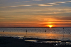 (c) shooting impressions by m buczur (17)
