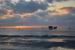 (c) shooting impressions by m buczur (18)