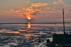 (c) shooting impressions by m buczur (22)