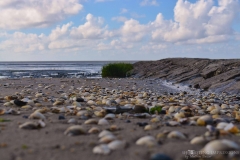 (c) shooting impressions by m buczur (6)