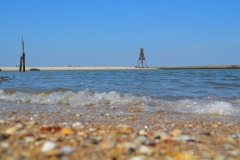 (c) shooting impressions by m buczur (8)