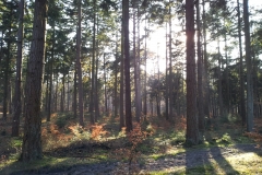 20150308_160327