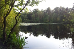 20150829_180142